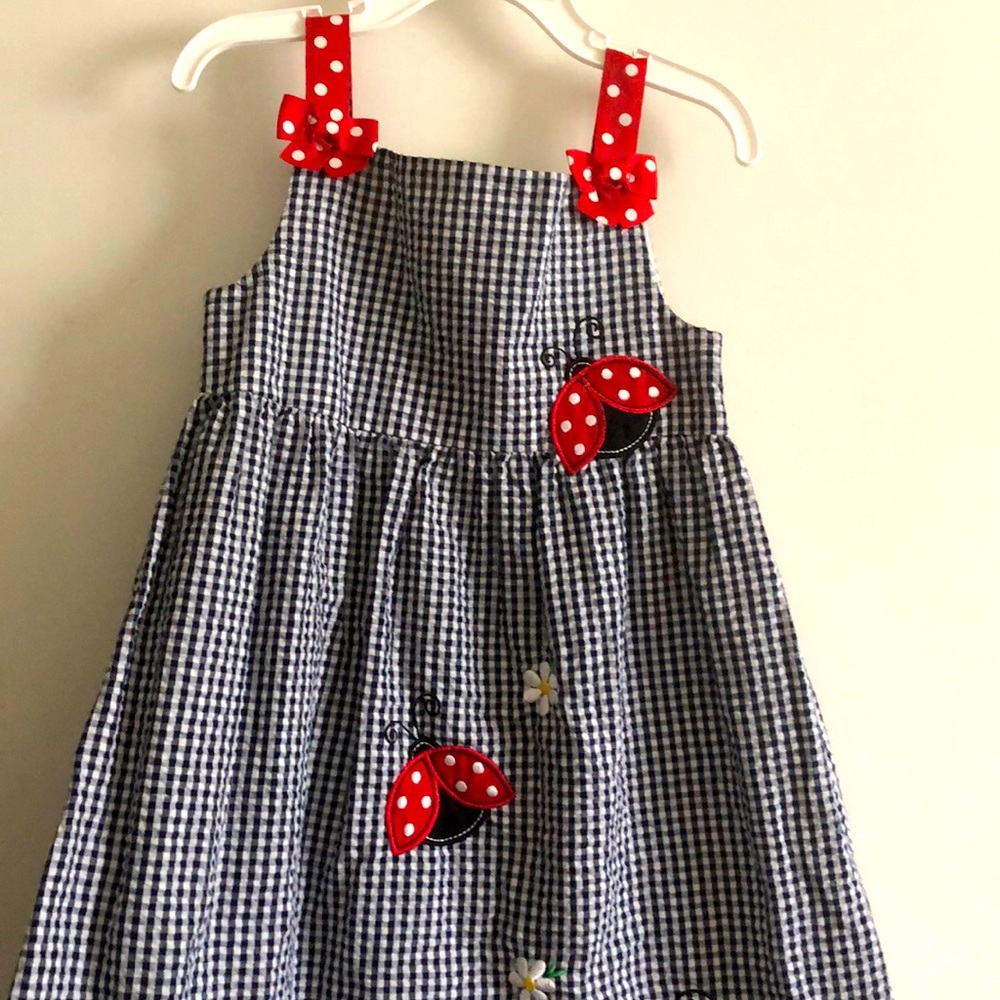 Ladybug blue and white